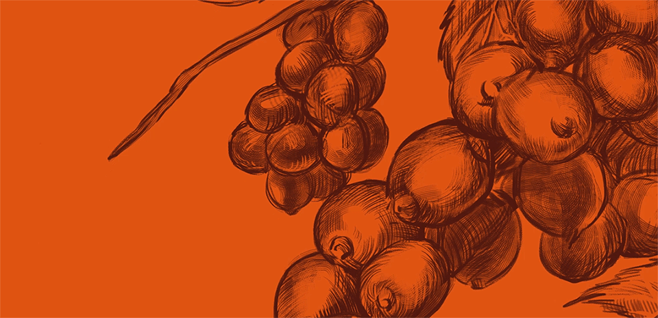 【雨润/来伊份/五洲】零食/方便速食包装合集