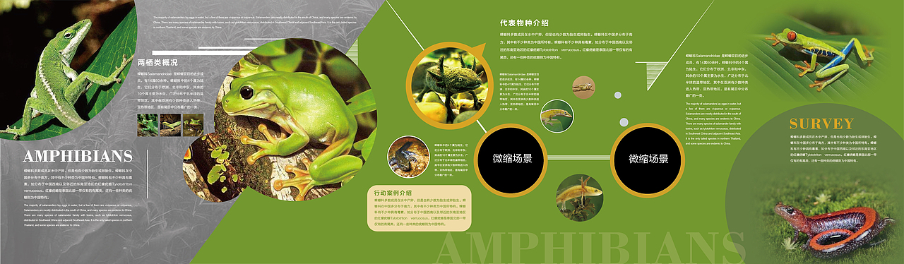 野生动物保护科教展厅