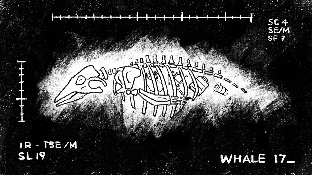 塑料生活之塑料未来