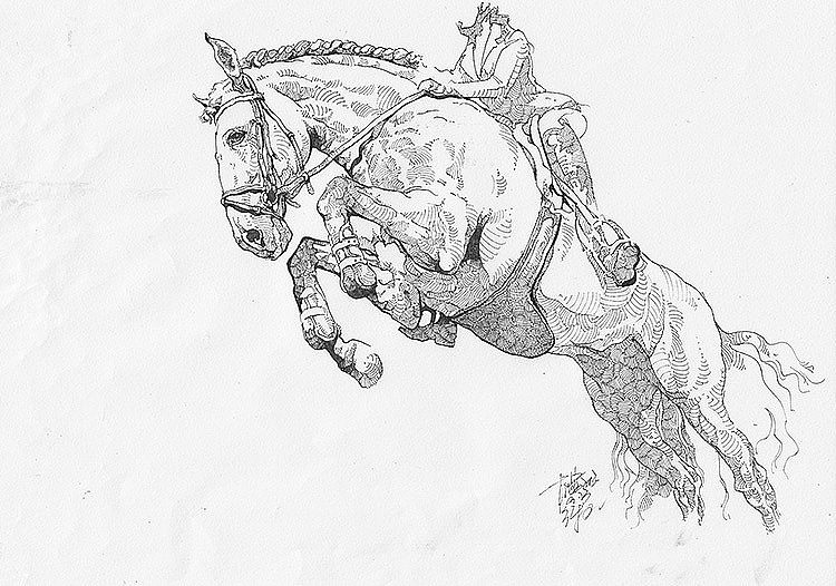 猫猫狗狗马马 ……小集（图ZOTg5NjAyMDA=） - 绘画 - 站酷设计师DX_IDO原创素材 - 站酷ZCOOL