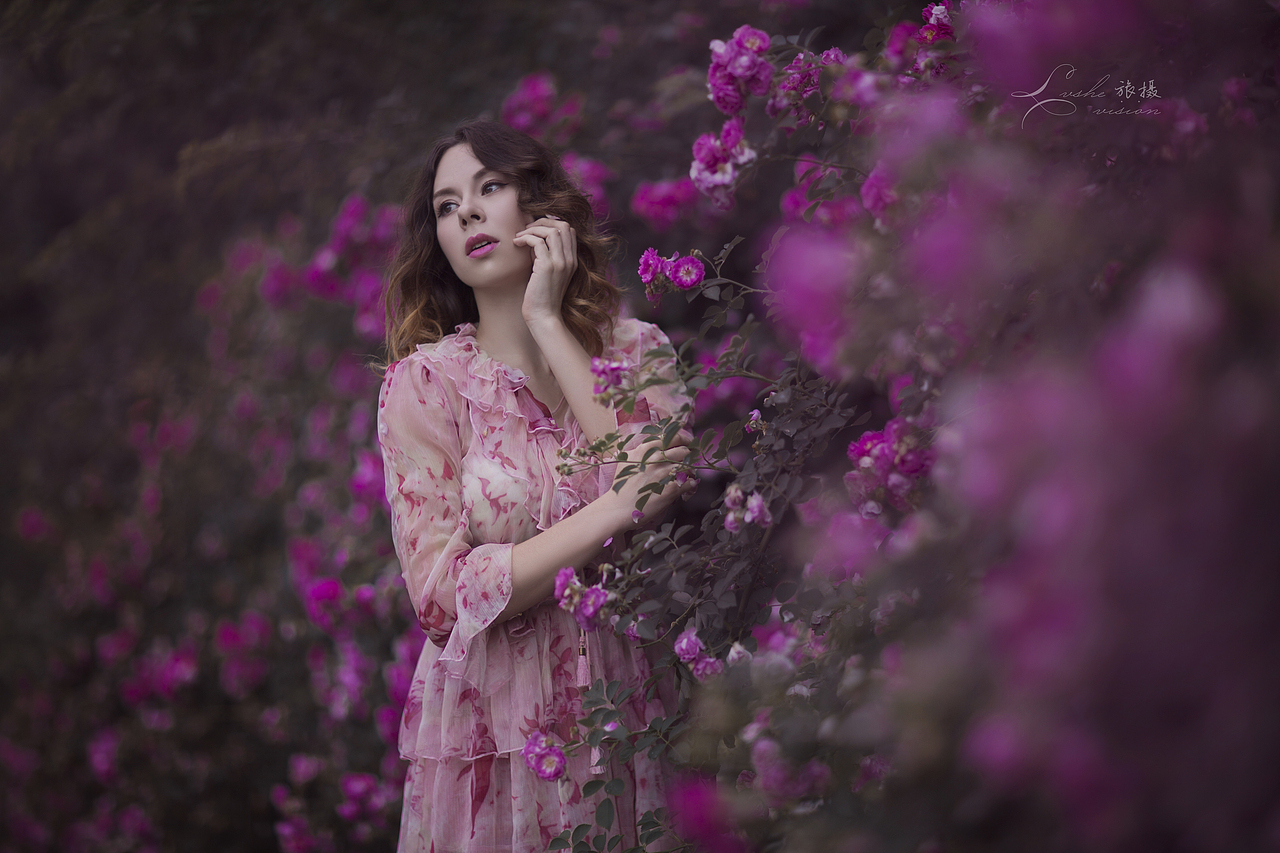 蔷薇殇（图ZMjY3MDIxMTky） - 人像摄影 - 站酷设计师猫咪绿森林原创素材 - 站酷ZCOOL