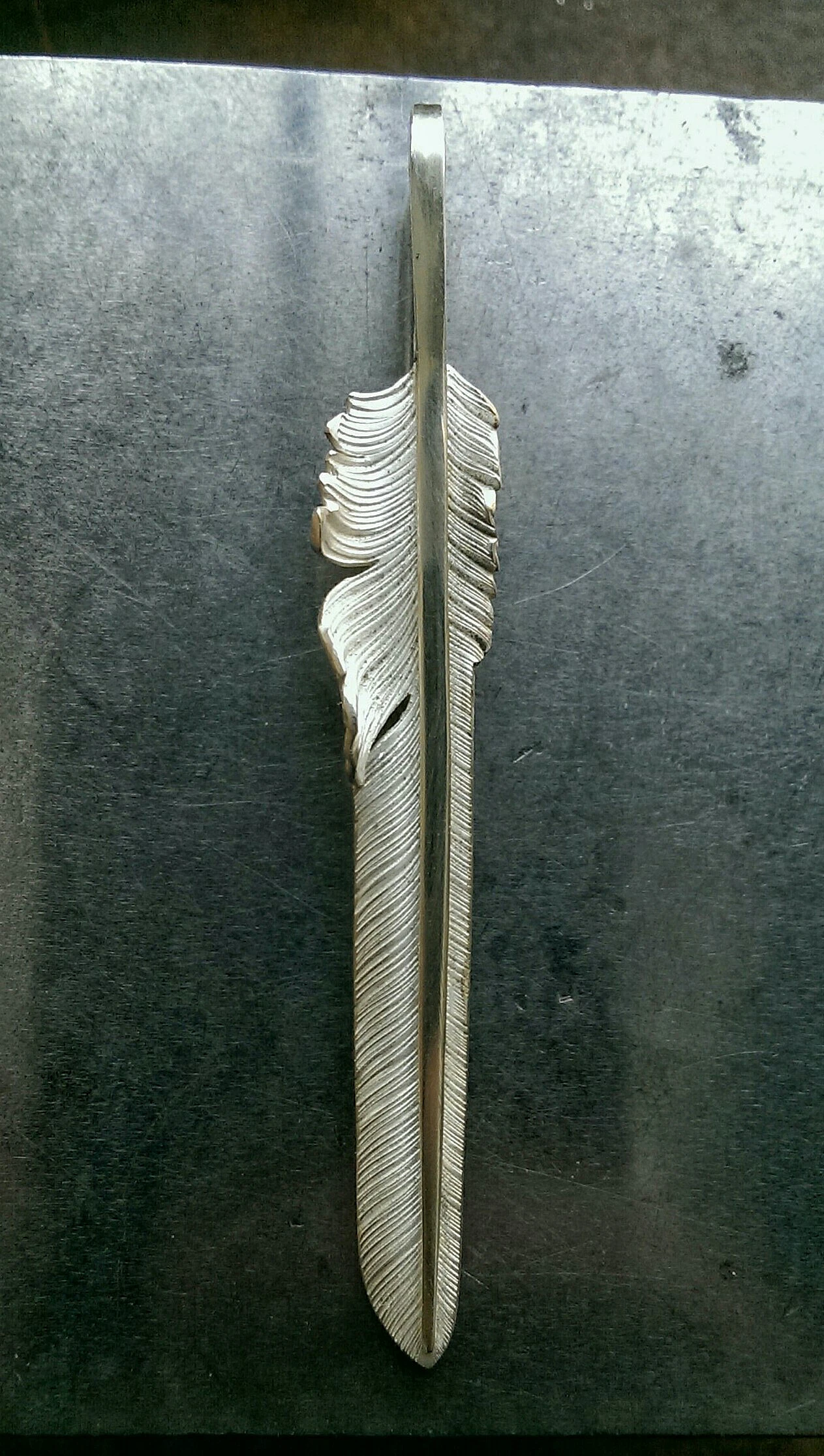 Primary Wing Feather
