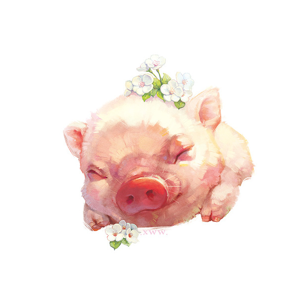 毛茸茸治愈——手绘可爱小动物