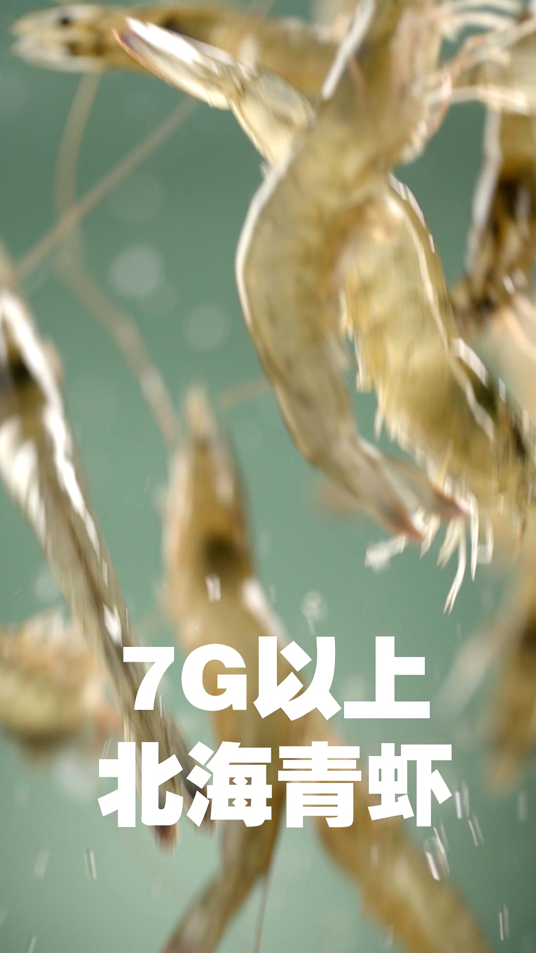 马蹄虾仁拍摄✖️逮虾记（图ZMjk1NTA0ODY0） - 短片 - 站酷设计师郁龙影视工作室原创素材 - 站酷ZCOOL
