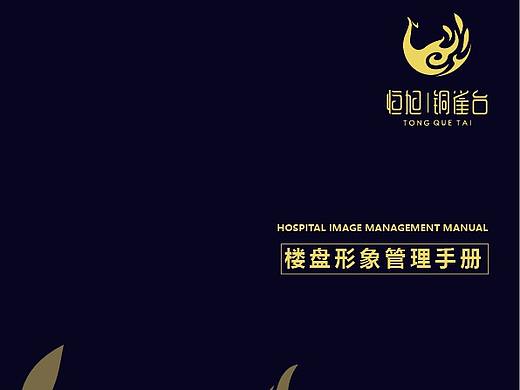 地產(chǎn)VI手冊(cè)（個(gè)人主頁(yè)-ZMzQ4NzU4MjA=） - 宣傳物料 - 站酷設(shè)計(jì)師加菲貓耳朵原創(chuàng)素材 - 站酷ZCOOL