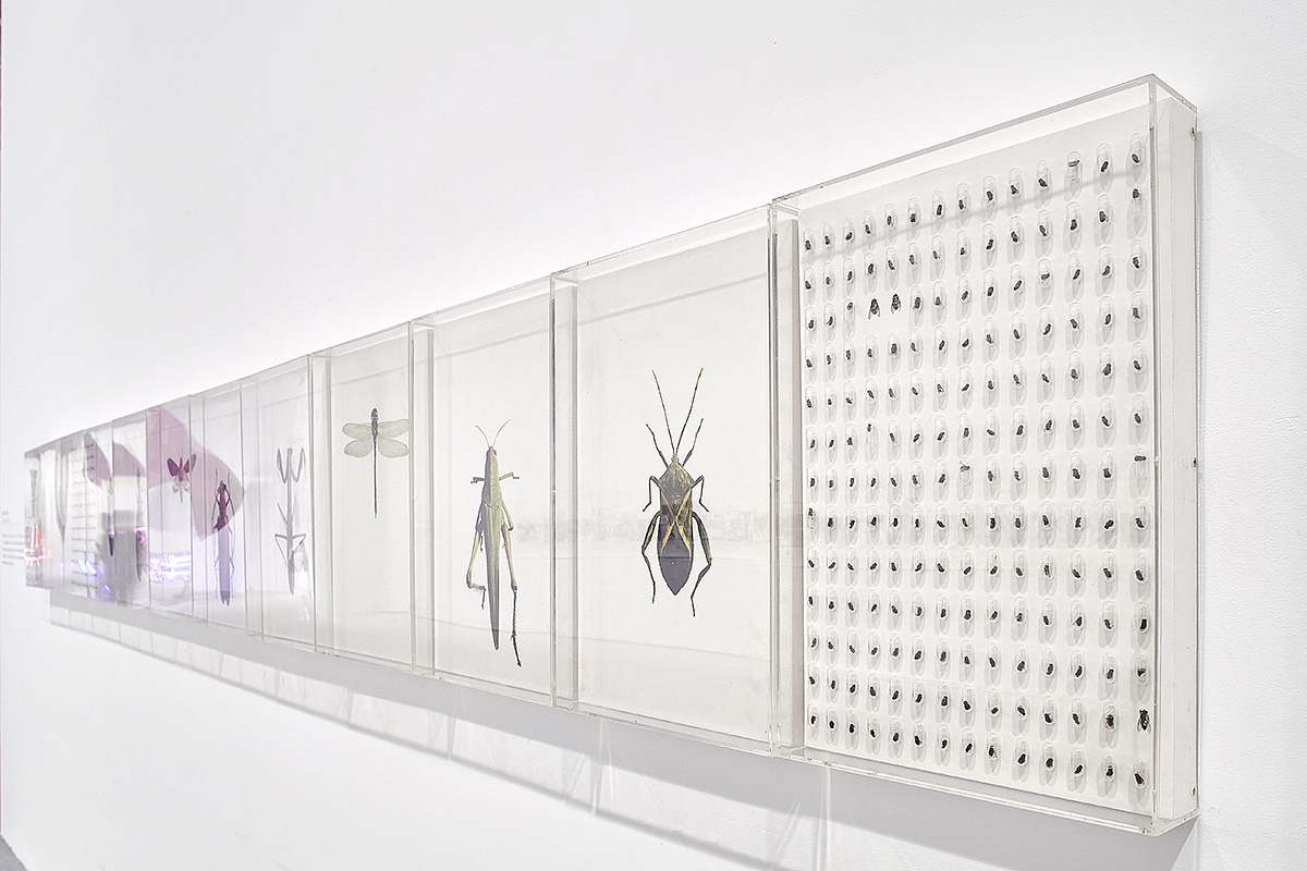 第十三届全国美术作品展览实验艺术作品展