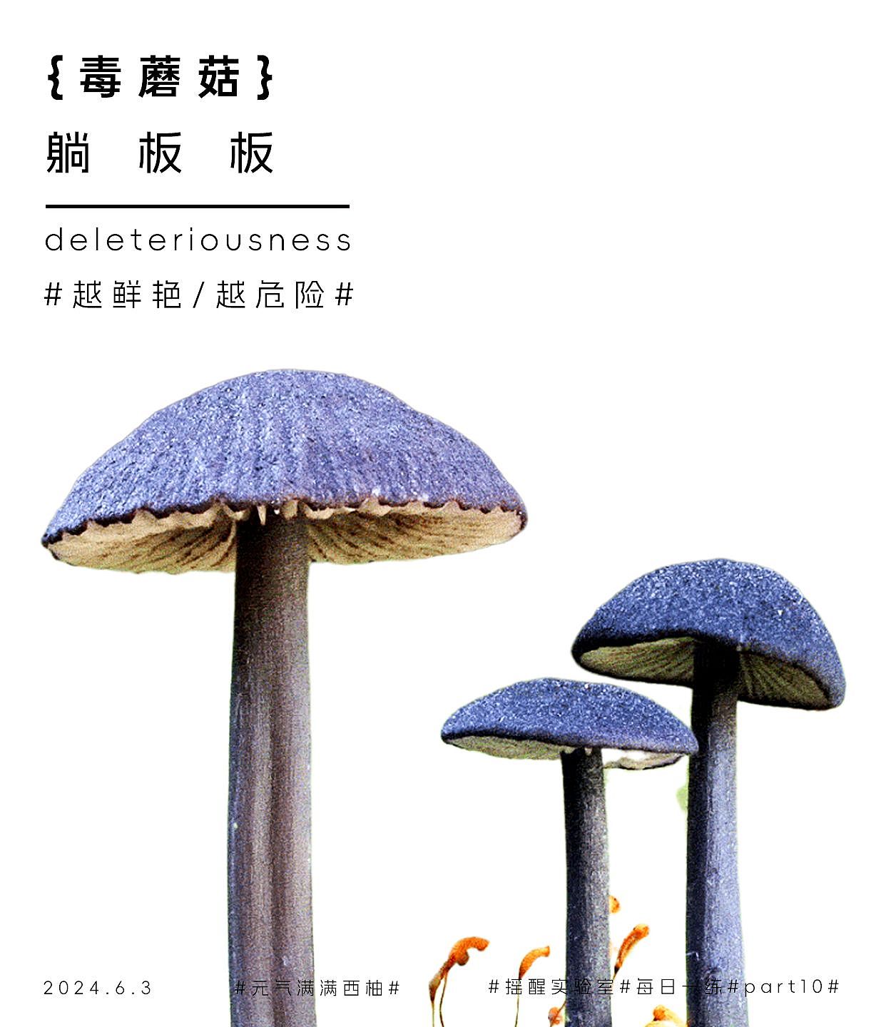 《每日一練》part10（圖ZMzcwMTk5NDQ0） - 海報(bào) - 站酷設(shè)計(jì)師空白future原創(chuàng)素材 - 站酷ZCOOL