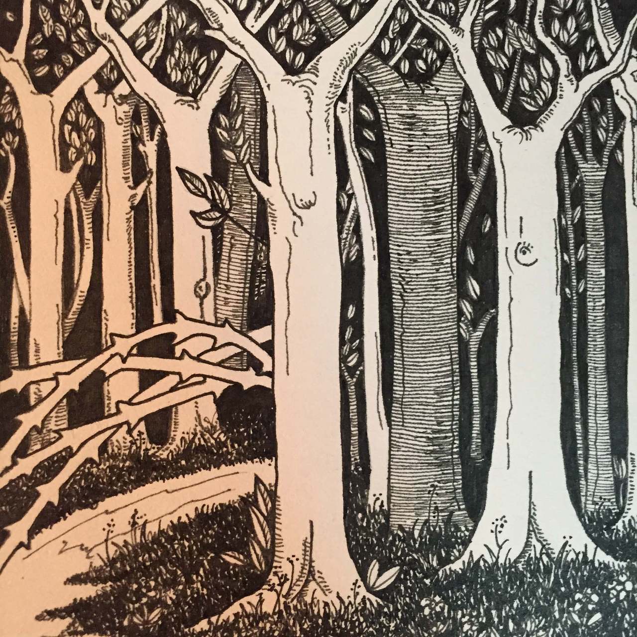 凄美地|插画|插画习作|木东东 - 原创作品 - 站酷