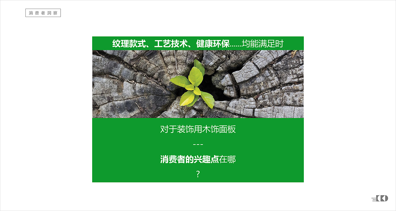 柯惠木皮-品牌策略及定位方案