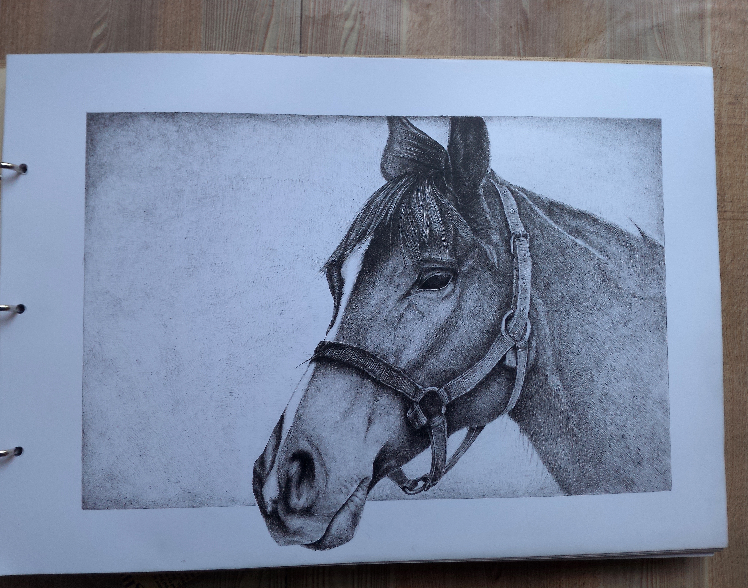 思念英雄马|纯艺术|钢笔画|张木文 - 原创作品 - 站酷 (zcool)