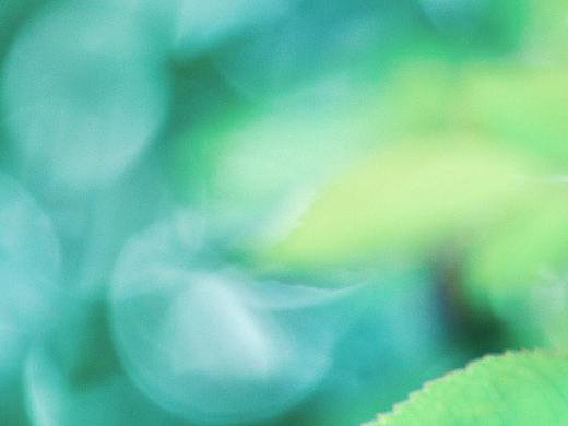 斑驳（个人主页-ZNDM2NzkxODg=） - 风光摄影 - 站酷设计师七月里听风原创素材 - 站酷ZCOOL