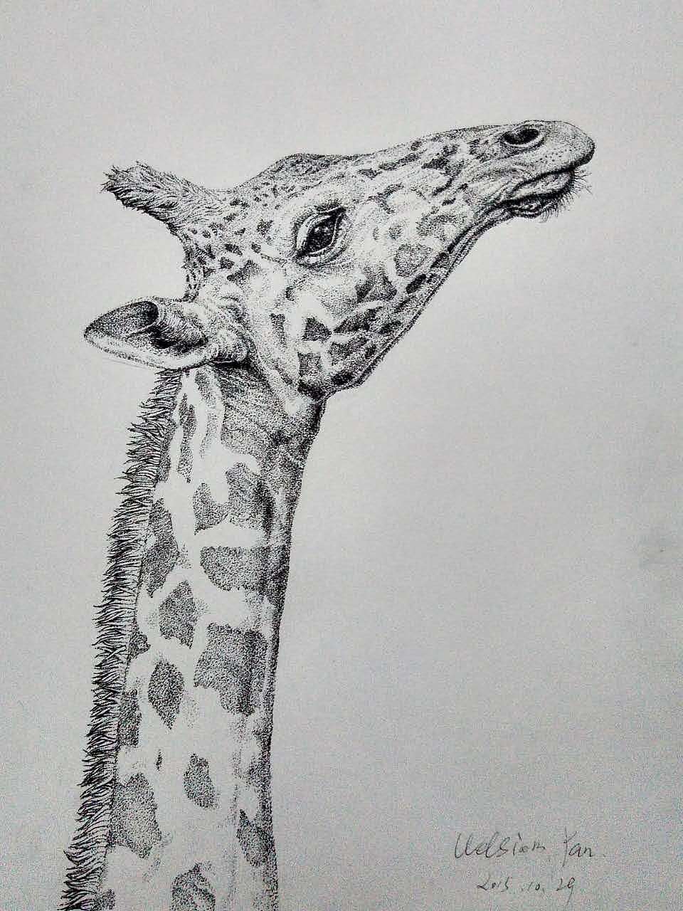 还是没有特别好的点出毛发的疏密、质感。过程很单调,结局很爽快。