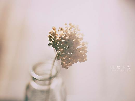 此处时光