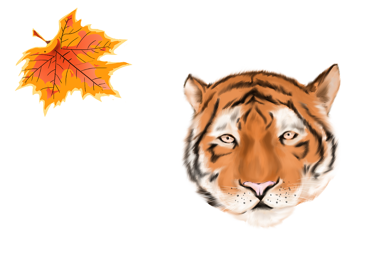 无（图ZMjIxNjI4NzAw） - 艺术插画 - 站酷设计师Z00388286原创素材 - 站酷ZCOOL