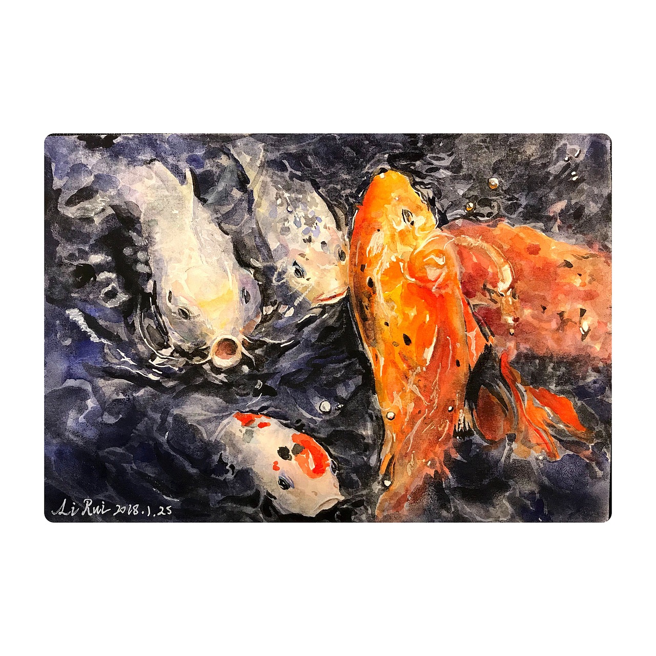 鱼（图ZMTYxNjI0MzU2） - 绘画 - 站酷设计师我不吃猪猪原创素材 - 站酷ZCOOL