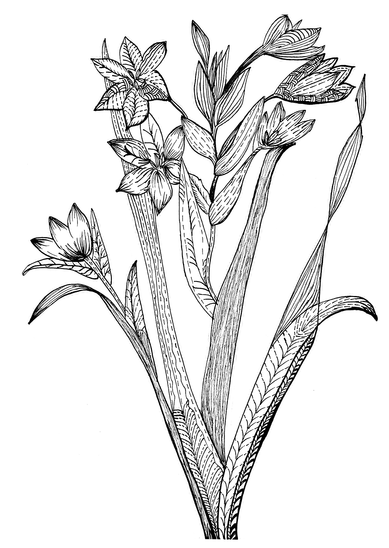 黑白装饰画（图ZMjY3NTc0MzIw） - 艺术插画 - 站酷设计师万物法则工作室原创素材 - 站酷ZCOOL