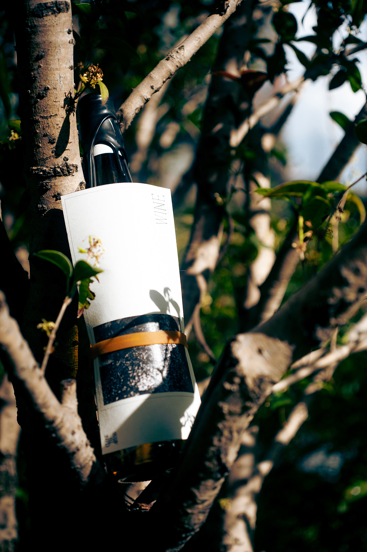 CLOSE TO ABYSS / WINE（图ZMzI4OTkyOTE2） - 包装 - 站酷设计师Pharaoh_Ars_摆薯原创素材 - 站酷ZCOOL