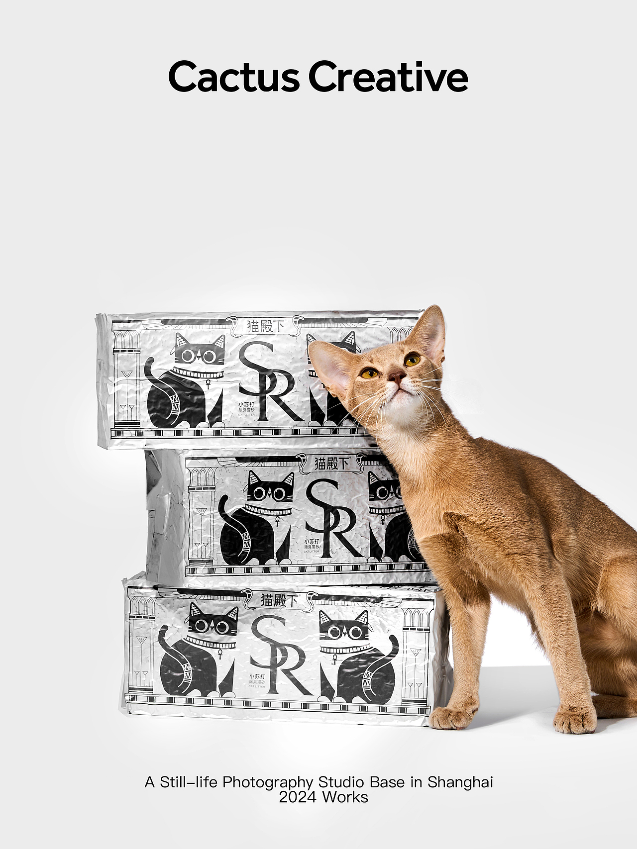 宠物产品拍摄、主图视频｜猫殿下 银砖猫砂（图ZMzYwNzAyMDI4） - 宣传片 - 站酷设计师仙人掌花园原创素材 - 站酷ZCOOL