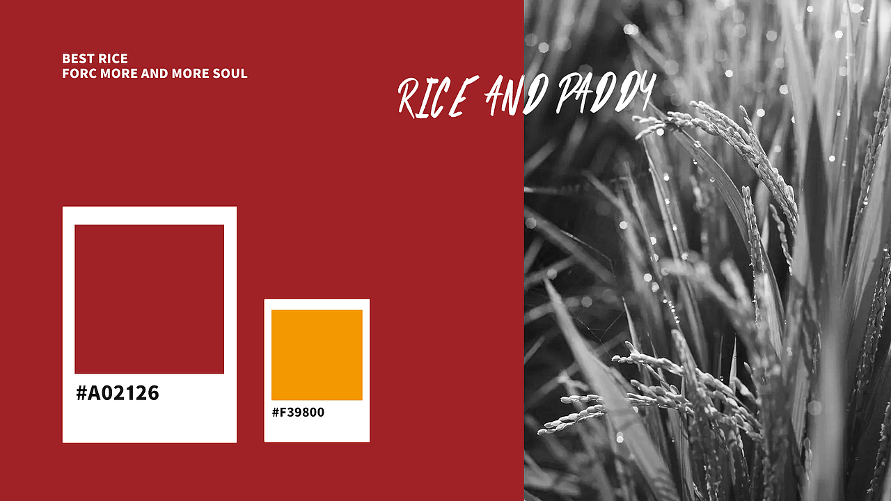 品牌设计 | 吃饭饭 鲜米铺子 + 一些以前的海报（图ZMzAxNTQ3OTY4） - 品牌 - 站酷设计师下北泽的大天使原创素材 - 站酷ZCOOL