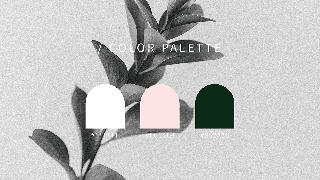 所闻品牌设计 X faithfit极简风胶囊包装设计（图ZMzA1ODkxMjQ4） - 包装 - 站酷设计师所闻品牌设计原创素材 - 站酷ZCOOL