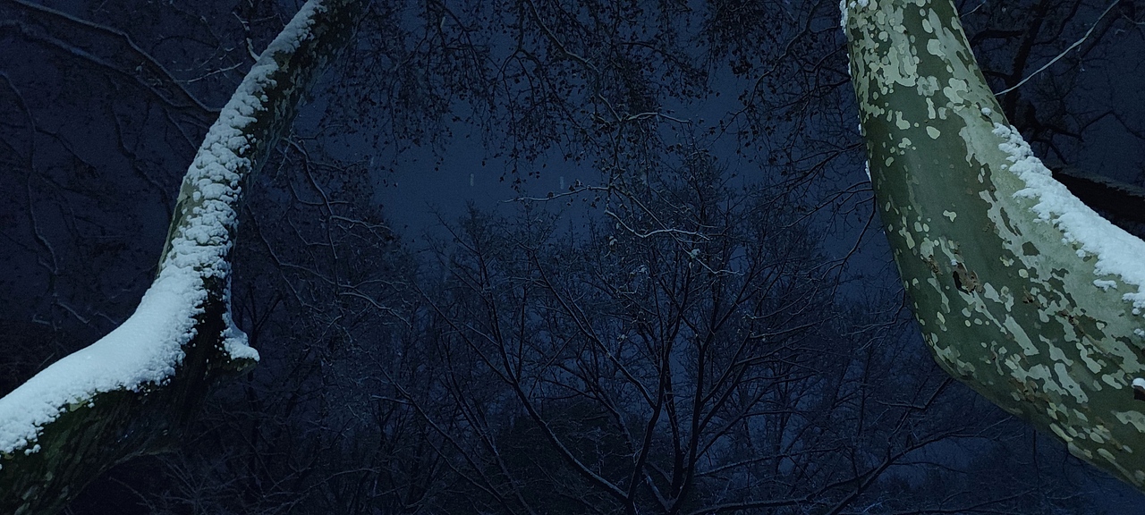 夜晚的中山陵雪景