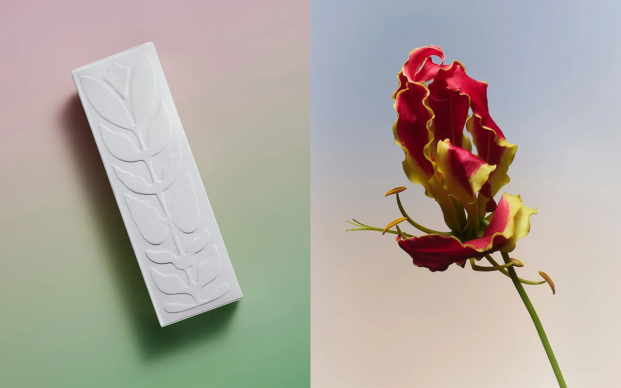 化妆品设计案例分享