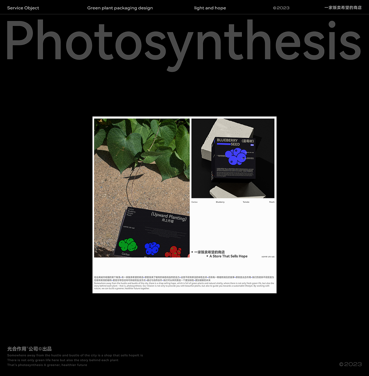 光合作用 | 桌面绿植包装 | 一家贩卖希望的商店