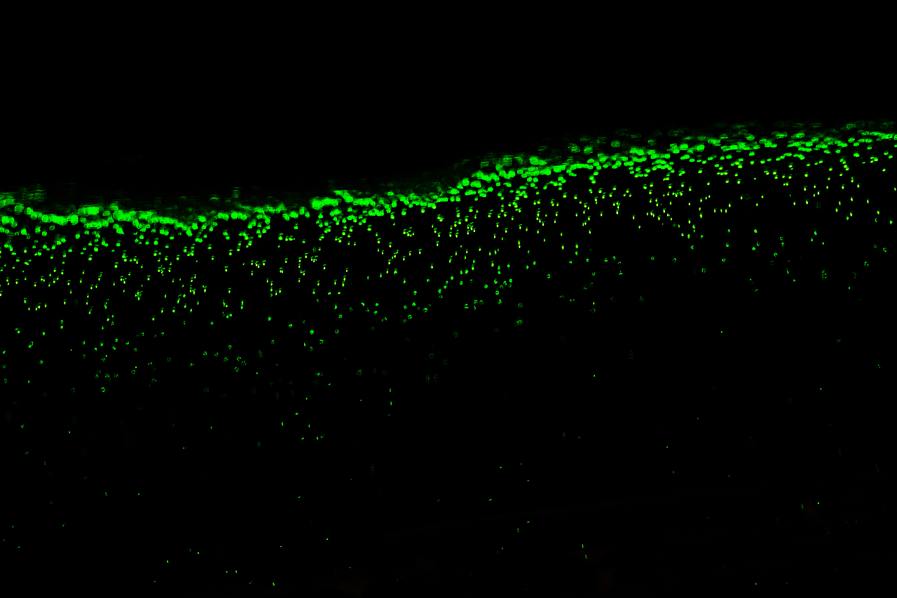 青岛啤酒/绿野探索（图ZMzI3MTkyMDI4） - 产品摄影 - 站酷设计师吃饱了饭的Men原创素材 - 站酷ZCOOL