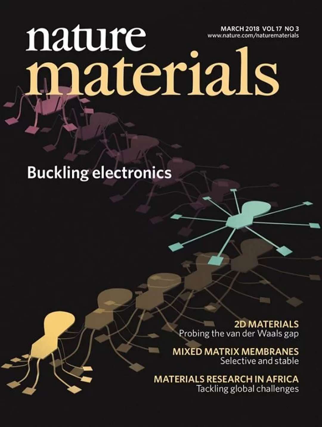 科研画图 学术期刊封面作品