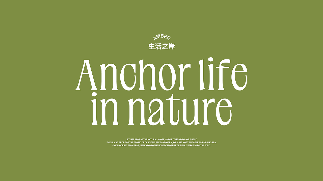 小岸茶·AMBER-茶饮品牌全案设计