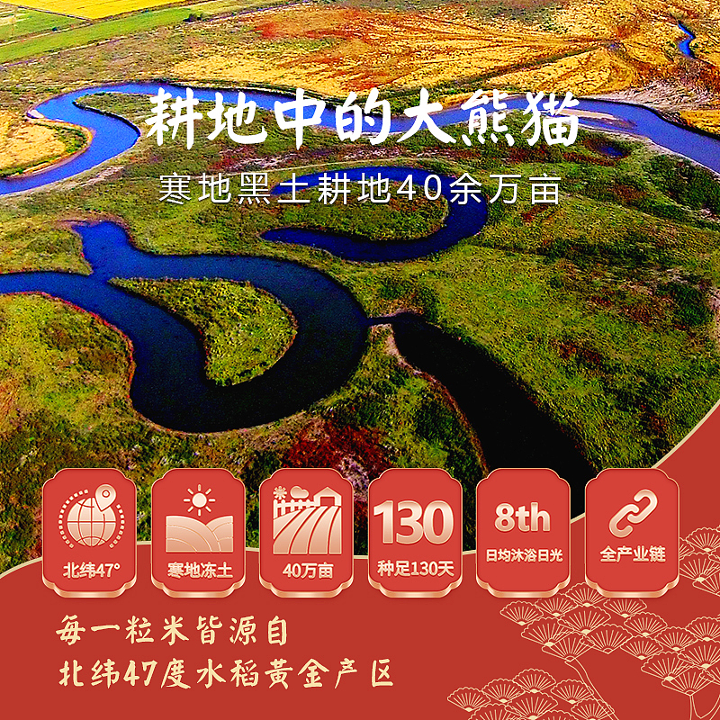 雙河大米-京東詳情頁&包裝設(shè)計(jì)（圖ZMzQ2NDQyMTU2） - 宣傳物料 - 站酷設(shè)計(jì)師庭凌亂原創(chuàng)素材 - 站酷ZCOOL