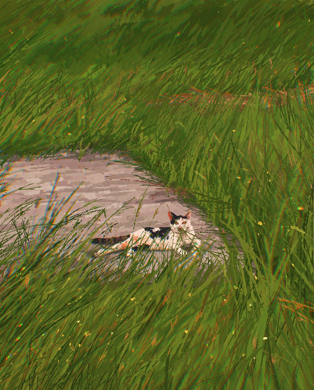 《我的阿勒泰》系列插画