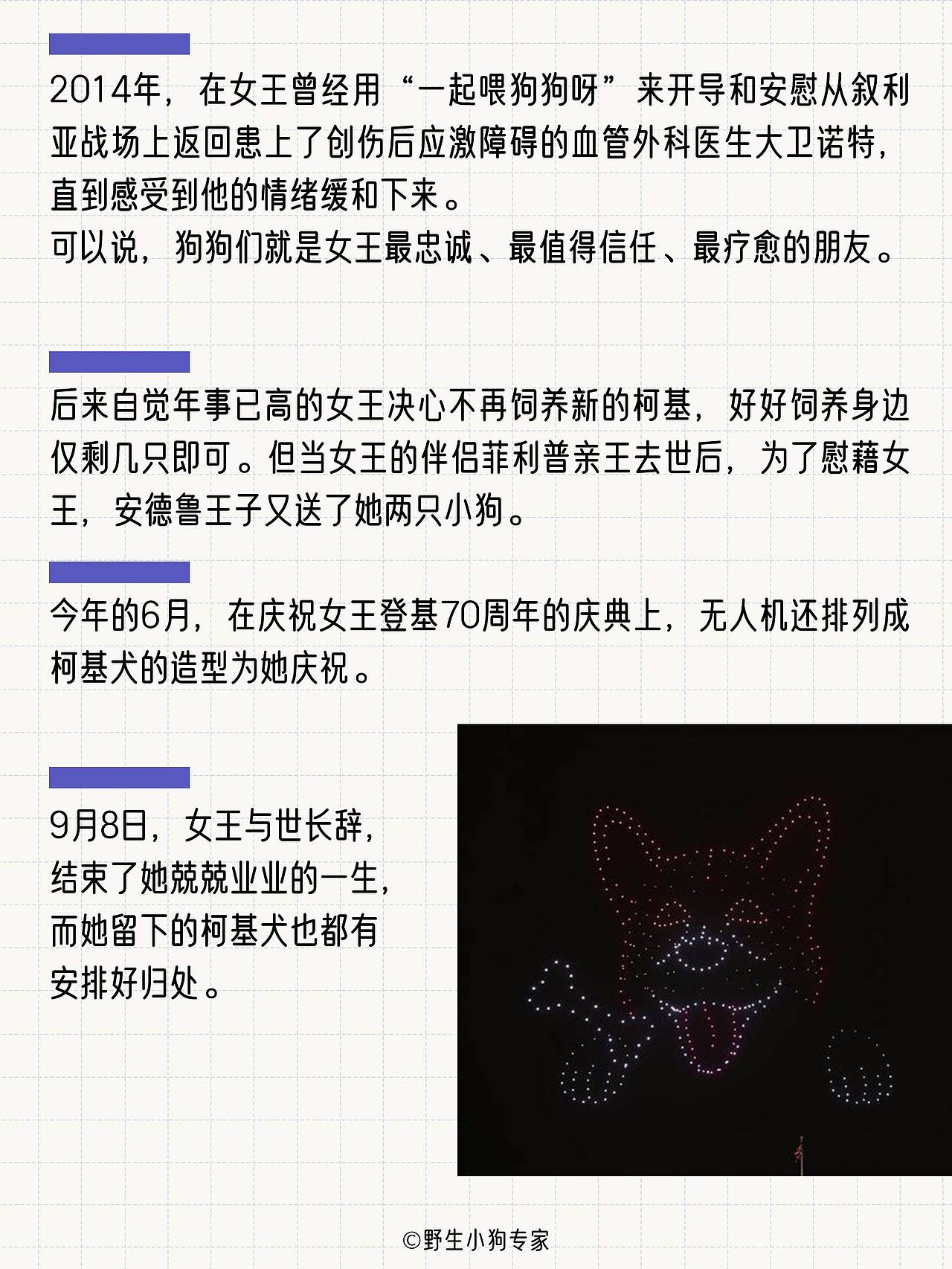 柯基犬小百科：女王与小短腿的故事（图ZMzE3MDc1MDAw） - 短篇/格漫 - 站酷设计师北北北辰beichen原创素材 - 站酷ZCOOL