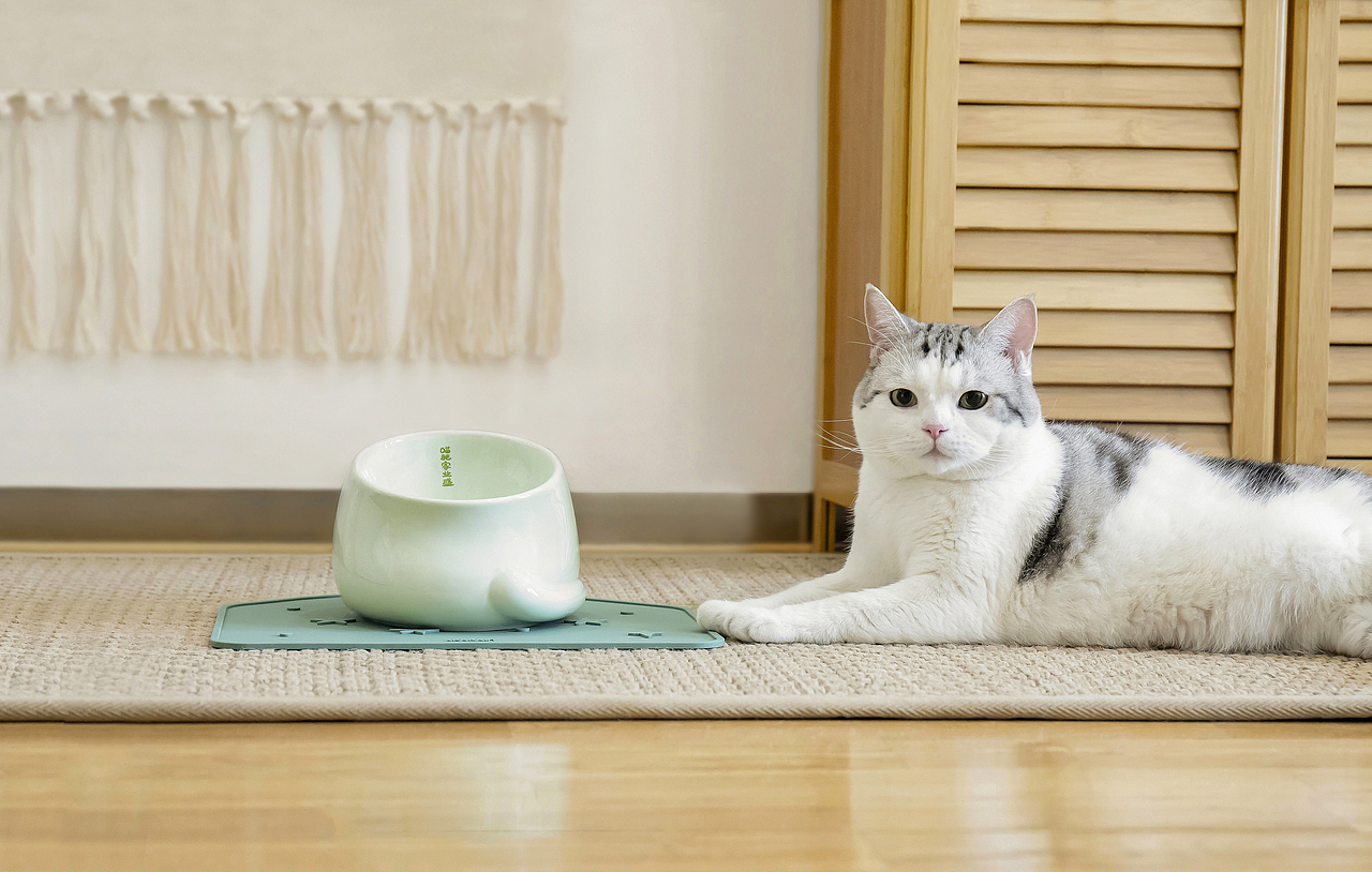 猫咪餐具拍摄-宠物与产品的互动