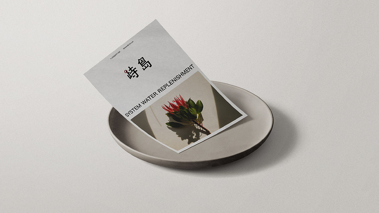 峙岛个护品牌包装全案