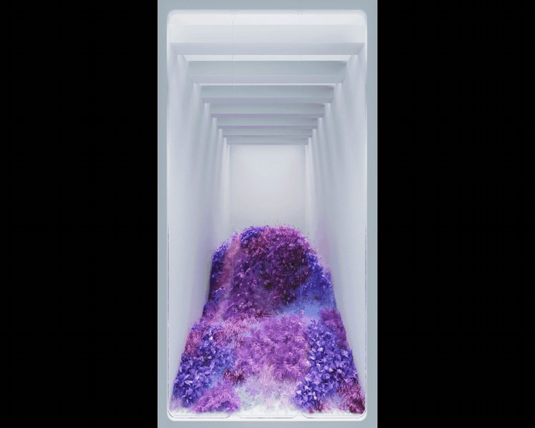 Blooming Window（图ZMzI3MzMzODY4） - 场景 - 站酷设计师TinyWang9原创素材 - 站酷ZCOOL