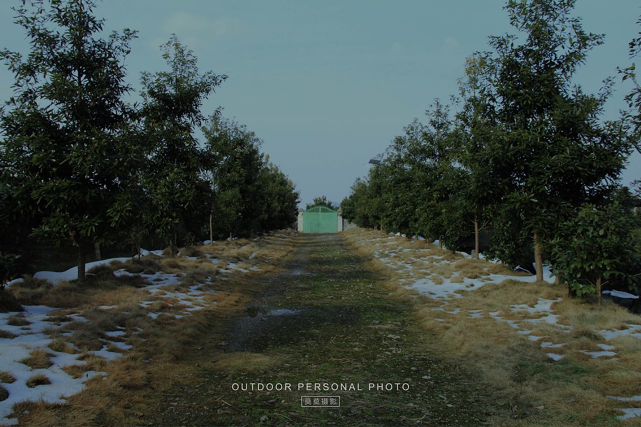 村里的风景,平淡却耐看