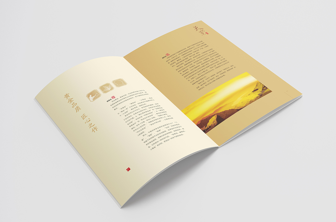 天之叶  杂志排版  期刊设计