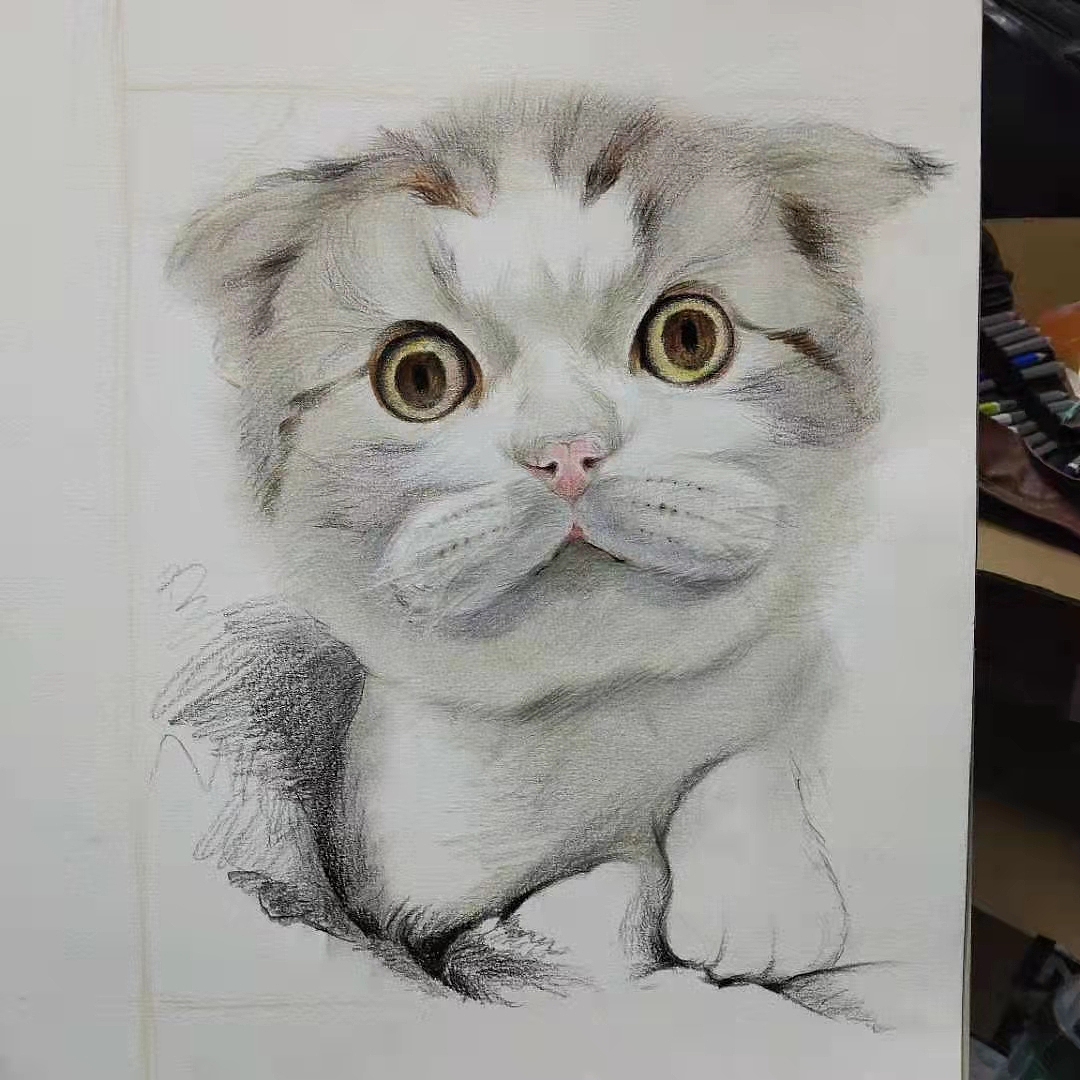 猫猫的眼睛里有星辰大海（图ZMzE2MjExNTY0） - 创作习作 - 站酷设计师辣糖吖原创素材 - 站酷ZCOOL