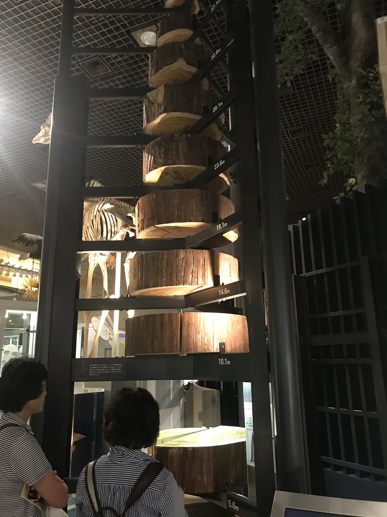 东京国立科学博物馆（图ZMzA5OTUwODUy） - 展陈设计 - 站酷设计师JIANG2015原创素材 - 站酷ZCOOL