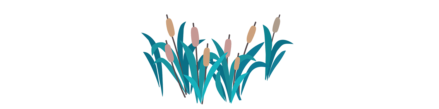 夏至——万物争荣，夏至正浓（图ZMzA2NDA4NTI4） - 动画片 - 站酷设计师一介速写簿JCJ原创素材 - 站酷ZCOOL