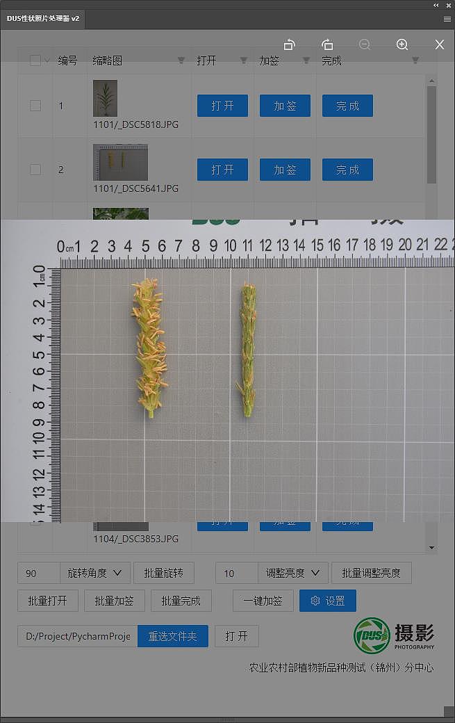 phtoshop ps扩展插件 个人作品展示,批量裁剪修改图片