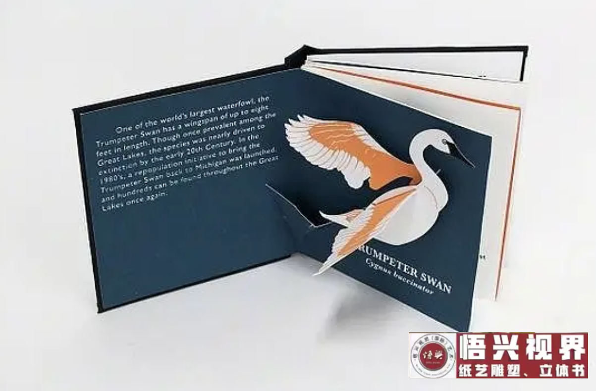 上海立体书工厂:接受定制-设计生产-批量发货