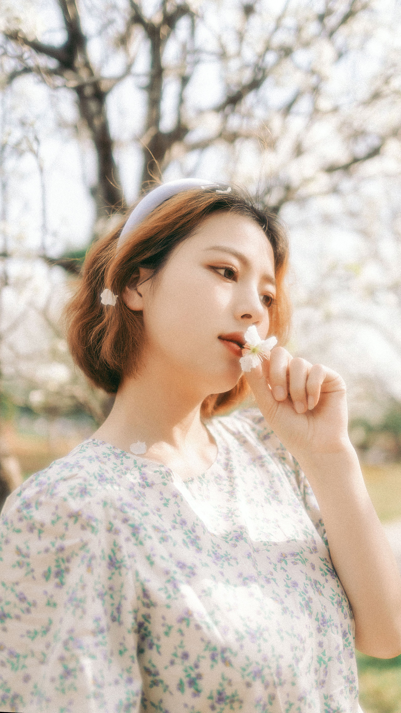 捕捉到了春天的花（图ZMzM2MTk2MTIw） - 人像摄影 - 站酷设计师Z47802525原创素材 - 站酷ZCOOL
