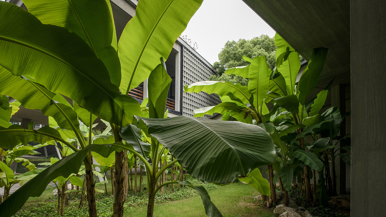 文润阁|杭州国家版本馆