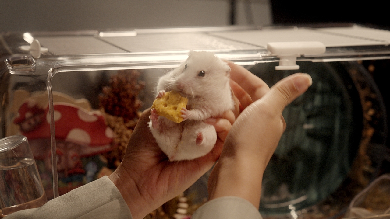 故事短片 | 布卡星 ✘ 响马摄影