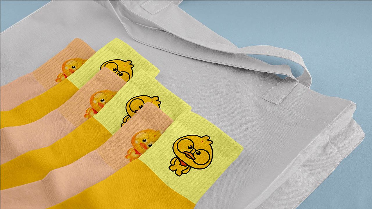 IP设计——timi duck