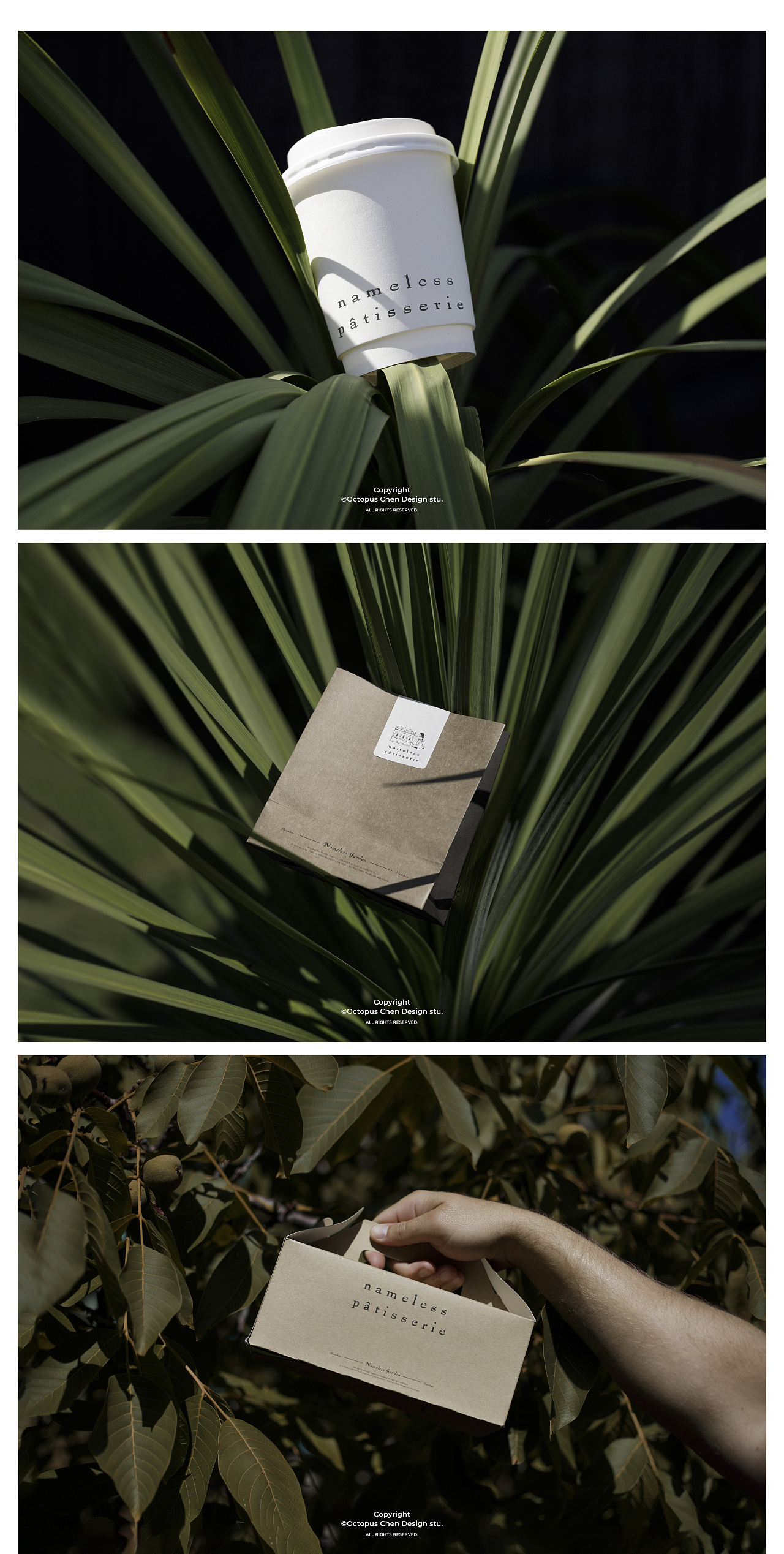 匿名糕所丨Nameless Pâtisserie