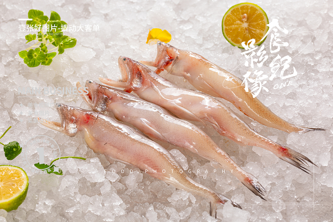 #冰鲜#海鲜#冻货#带鱼生蚝#扇贝#螃蟹#西安美食摄影（图ZMzQ3NzE5NzY0） - 美食摄影 - 站酷设计师西安食纪影像原创素材 - 站酷ZCOOL