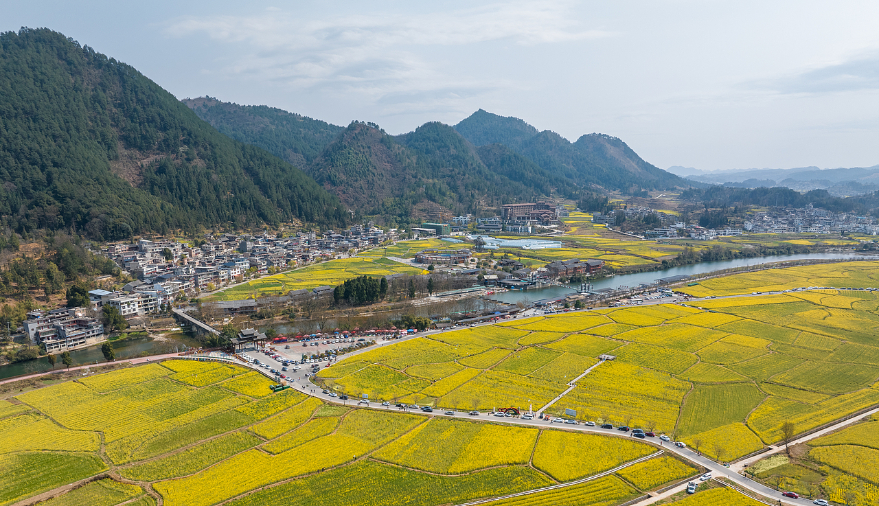 阳光恰好油菜花与腾势D9碰撞相遇(贵定金海雪山)